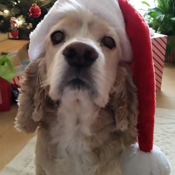 Meet your Posher, Gen - Picture 3 of 3